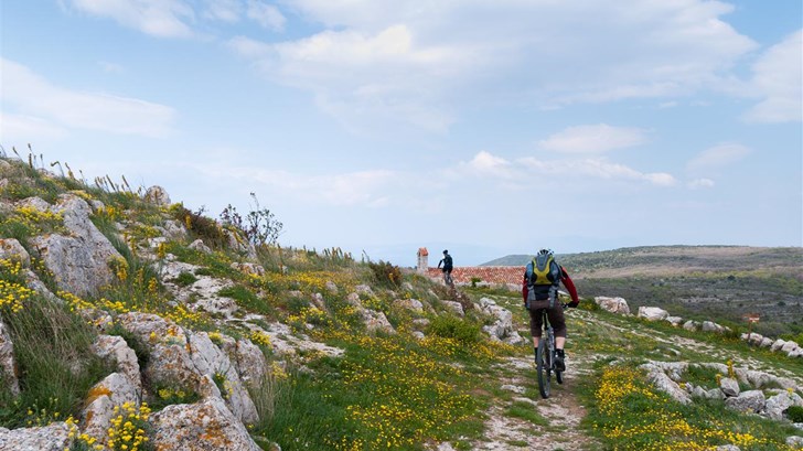 Biciklizam Autor: Luka Tambača